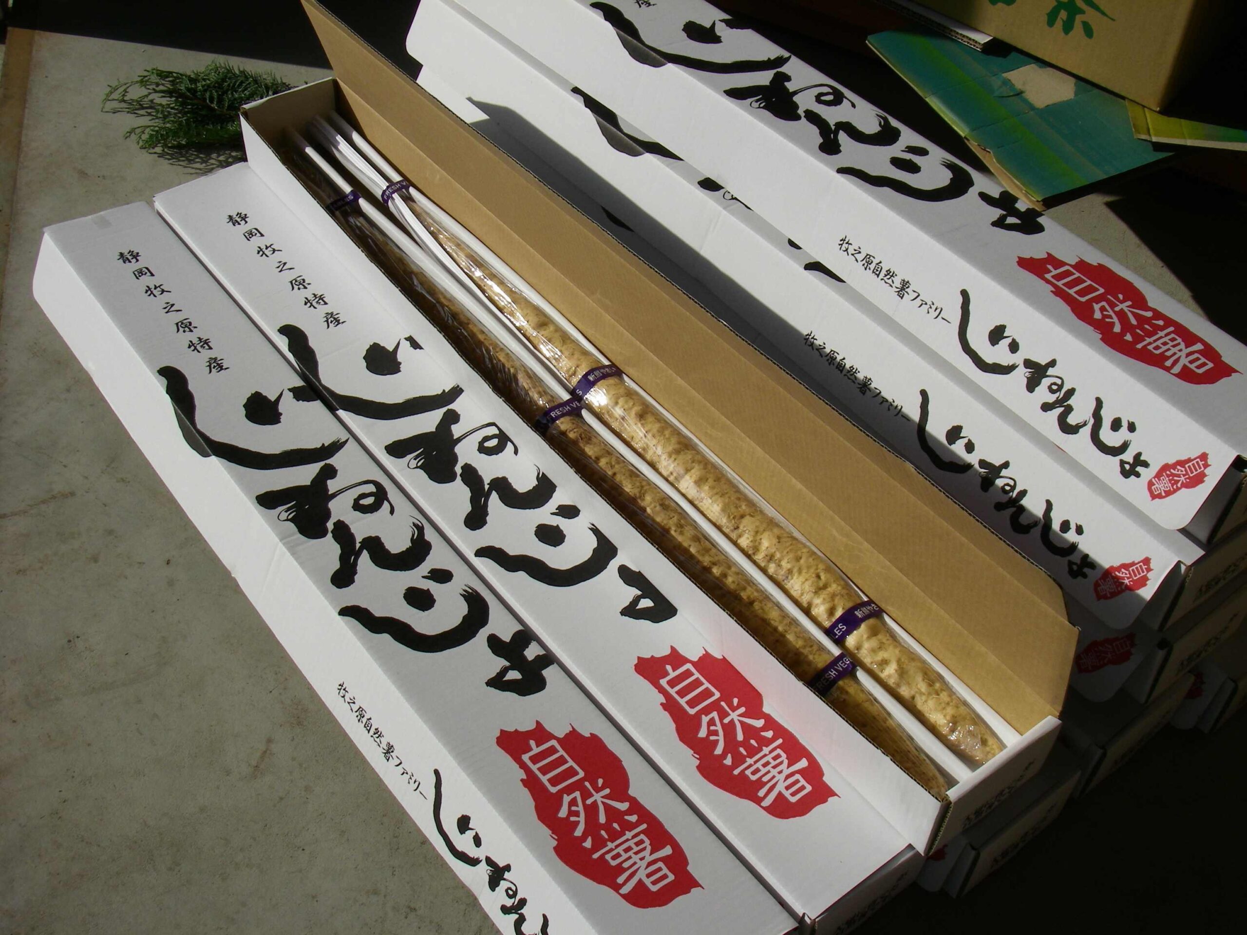 自然薯 完全天然物 静岡産　1キロ 自然薯 完全天然物 静岡県産 - メルカリ